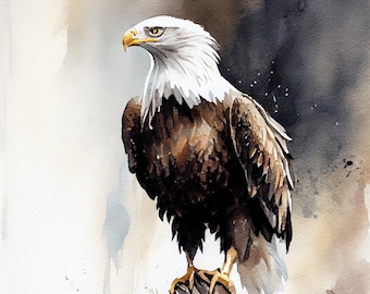 Könnte beinhalten: Ein Aquarellbild eines Weißkopfseeadlers, der auf einem Felsen sitzt, mit einem Gewässer im Vordergrund. Der Adler hat einen weißen Kopf und Schwanz mit braunen Federn am Körper. Der Adler blickt nach links im Bild.