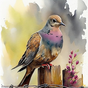 Mourning Dove - Bird Art Print - Avian Watercolors Illustration - Nature Picture -  Instant Digital Download - Printable Wall Art - Decor