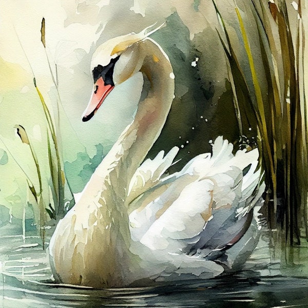 Swan - Bird Art Print - Illustration d'aquarelles aviaires - Photo de la nature - Téléchargement numérique instantané - Art mural imprimable - Décor