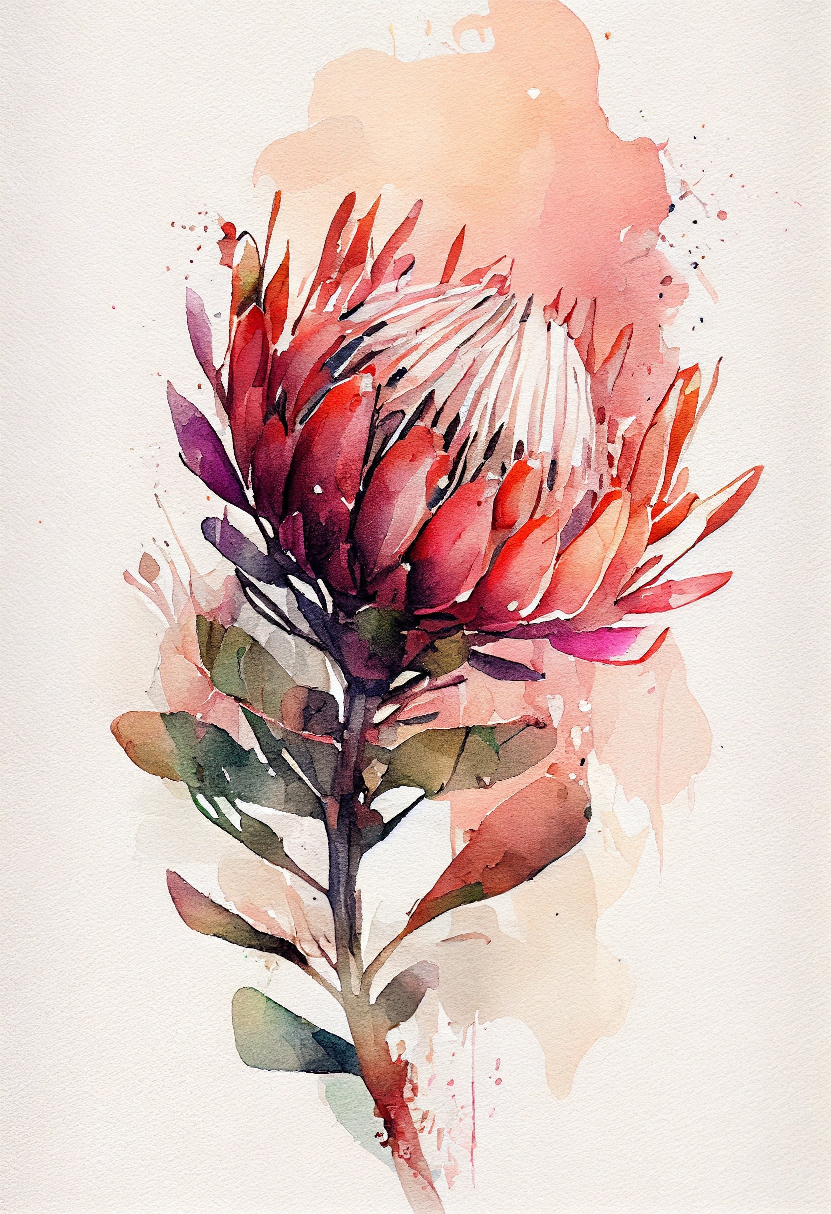 Pink Protea Flower Art Print Botanical Watercolors Illustration Instant