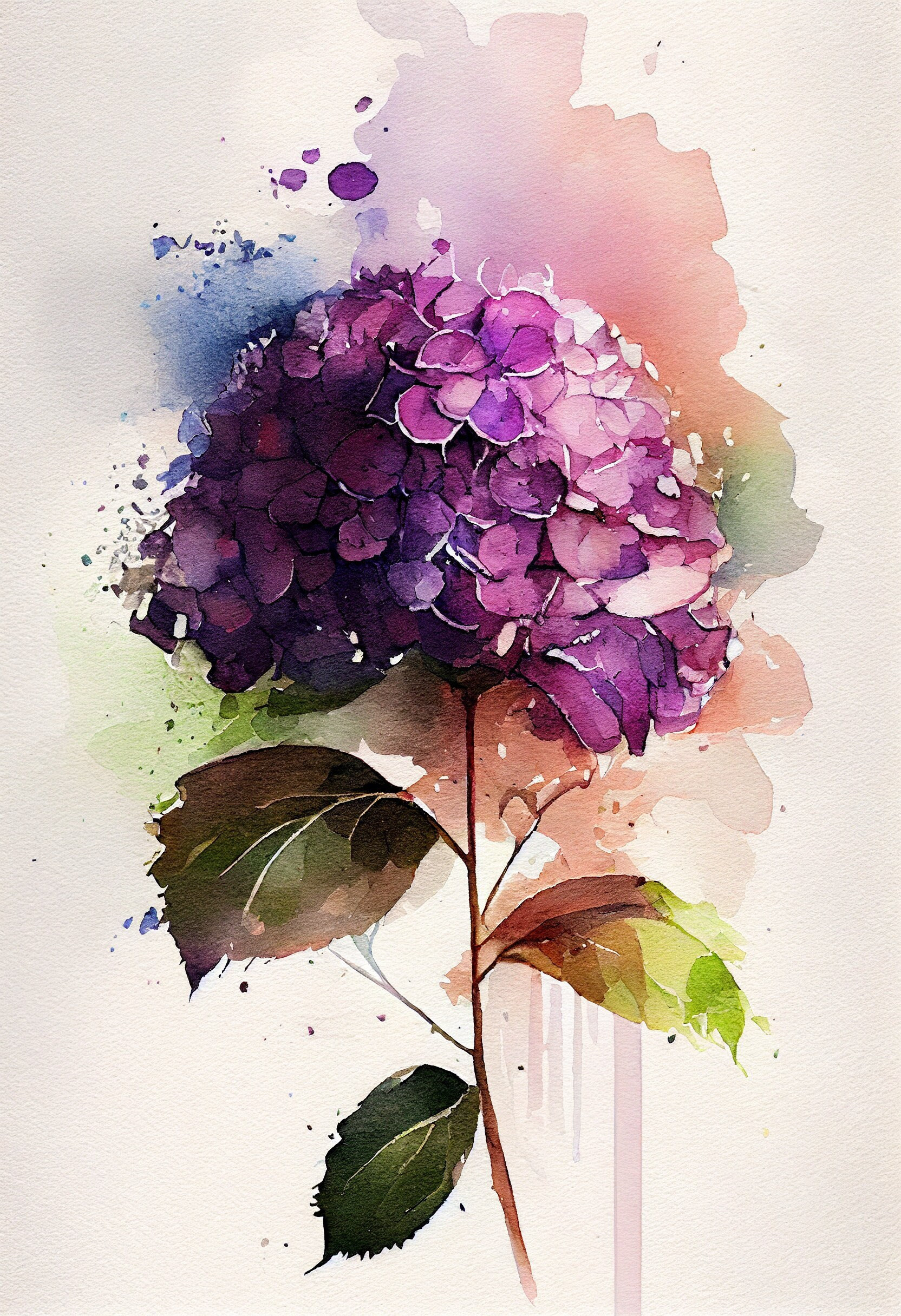 Purple Hydrangea Flower Art Print Botanical Watercolors Illustration