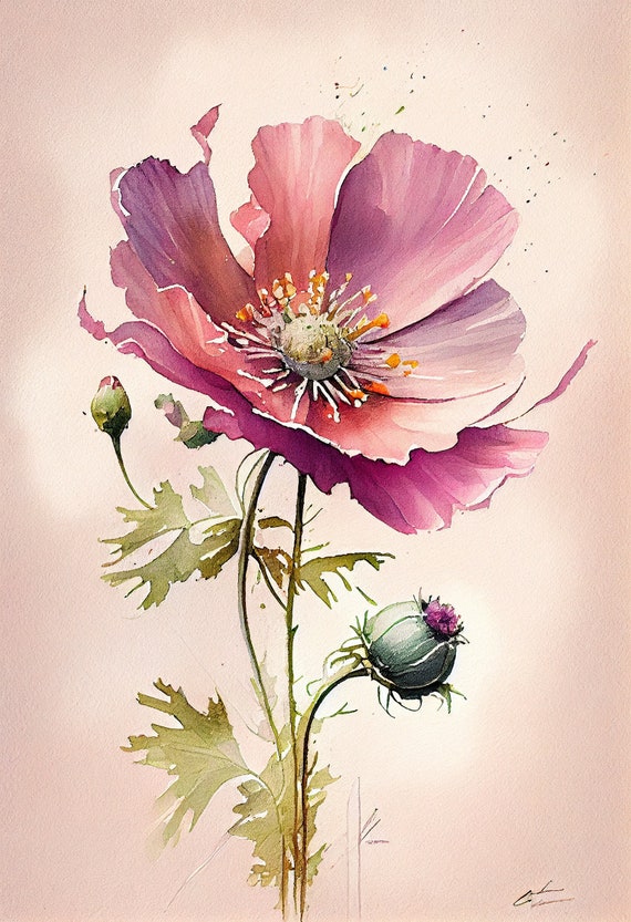 Art Illustration Home Wall Download Digital Printable Anemone Botanical Pink Instant - Etsy Watercolors Decor Art Flower Print