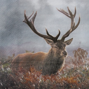 2 oder 4 Stück Papier Decoupage Servietten , Braunes Rentier In Der Nebligen Wiese , Deer Decoupage Serviette , Skandinavische Decoupage Servietten , Herbst Servietten