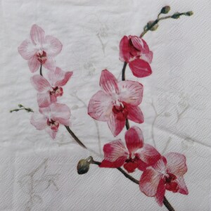 2 oder 4 Stück Papierservietten zum Basteln, rosa Orchideenblüten auf weißem Hintergrund mit Schatten, rosa Phalaeonopsis Decoupage Servietten, Collage