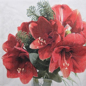 2 o 4 servilletas de papel para decoupage, arreglo de amarilis rojo, servilletas de decoupage con flores de invierno, servilletas de decoupage de amarilis rojo