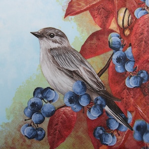 2 oder 4 Stück Papierservietten für Decoupage, grauer Fliegenfänger Vogel auf Schlehdorn Zweige auf blauem Hintergrund mit Schnecke, Herbst Decoupage Servietten
