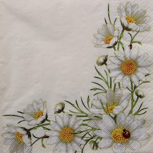 2 o 4 pezzi di tovaglioli per lavori artigianali, cornice di margherite e coccinella su sfondo crema, margherite per decoupage, tovaglioli con fiori estivi, tovaglioli con coccinella