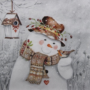 2 o 4 pezzi di tovaglioli di carta per decoupage, pupazzo di neve con cappello e sciarpa a Birdhouse e Robin, tovaglioli per decoupage pupazzo di neve di Natale, artigianato invernale