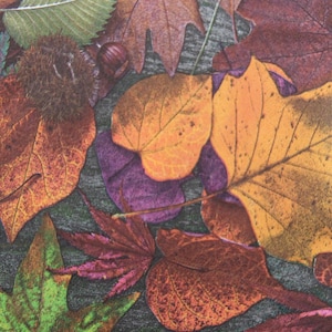 2 oder 4 Stück Papierservietten zum Basteln, Herbstlaub Muster, Herbstlaub Servietten, Herbstlaub Servietten, Papierservietten zum basteln