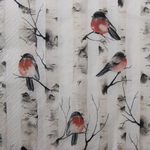 Tovaglioli di carta da 2 o 4 pezzi per decoupage, uccelli pettirosso su sfondo modello tronco di betulla, tovaglioli per decoupage di uccelli dal seno rosso invernale, tovaglioli per uccelli
