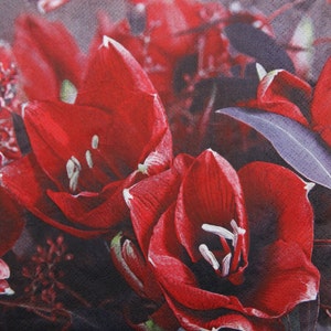 2 o 4 servilletas de papel para decoupage, patrón de amarilis rojo, servilletas de decoupage con flores de invierno, servilletas de decoupage de amarilis rojo