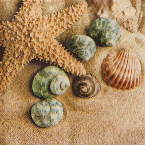2- of 4-delige papieren servetten voor decoupage, schelpen en zeesterrenmix op strandzandachtergrond, decoupageservetten kust, nautische collages