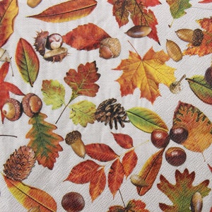 2 ou 4 serviettes en papier pour travaux manuels, feuilles d'automne, glands, cônes et noisettes sur fond beige, serviettes d'automne, serviettes de table prime d'automne