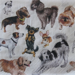 2 o 4 servilletas de papel para decoupage, con motivos de perros de diferentes razas sobre fondo blanco, servilletas para decoupage de perros, servilletas para mascotas, servilletas para amantes de los perros