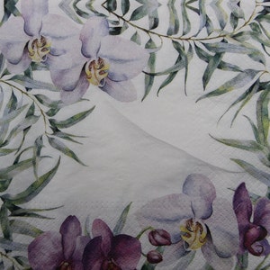 2 ou 4 unidades de guardanapos de papel para artesanato, flores de orquídea roxas e folhas de plantas verdes em fundo branco, guardanapos de decoupage Phalaeonopsis