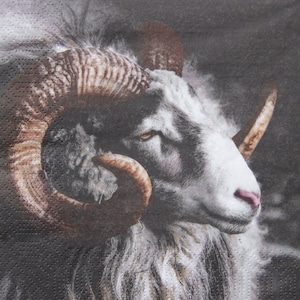 2 o 4 pezzi di tovaglioli di carta per decoupage, Rocky Mountain Aries su sfondo nero, tovagliolo per decoupage Aries, tovaglioli per decoupage scandinavi