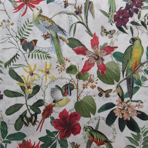 2 o 4 servilletas de papel para decoupage, con estampado de pájaros y flores tropicales de colores, periquitos y mariposas con flores tropicales sobre fondo blanco.