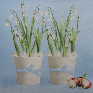 2 ou 4 serviettes en papier pour découpage, perce-neige dans des pots blancs avec noeud en ruban et décoration de fleurs printanières dans une boîte en bois sur fond bleu ciel