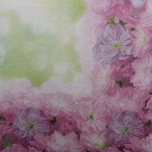 2 oder 4 Stück Papierservietten für Decoupage, rosa Kirschblüten-Rahmen auf pastellgrünem Hintergrund, Frühlings-Collage-Servietten, Frühlings-Decoupage