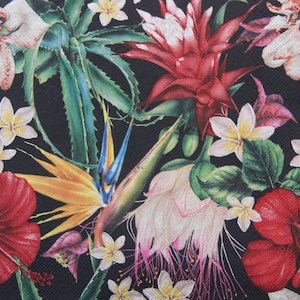 2 o 4 pezzi di tovaglioli di carta per artigianato, strelitzia e bromeliacee su sfondo nero, tovaglioli per decoupage con fiori tropicali, tovaglioli floreali