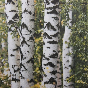 2- of 4-delige papieren servetten om te knutselen , Birch Grove decoupage servetten , Birch Tree servetten , Birch Forest servetten , Scandinavische servetten