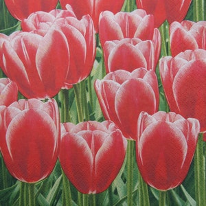 2 ou 4 serviettes en papier pour découpage, jardin de tulipes rouges sur fond de feuilles vertes, serviettes de table fleurs de printemps, journalisation, scrapbooking