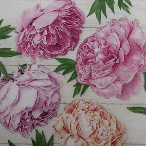 2 o 4 pezzi di tovaglioli di carta per lavori artigianali, teste di peonie rosa su sfondo beige, motivo romantico di peonie, tovaglioli per decoupage di peonie