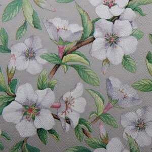 2 ou 4 serviettes en papier pour bricolage, branches de pommier en fleurs sur fond gris clair, serviettes de table pour découpage, journalisation, scrapbooking