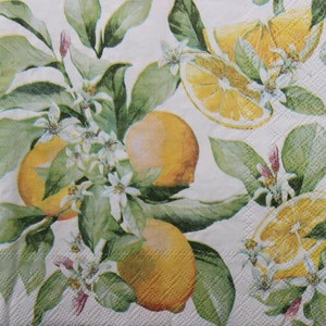 2 of 4 stuks papieren servetten om te knutselen, naadloze citroentakjes op witte achtergrond, citrus decoupage servetten, fruitservetten, fruit decoupage
