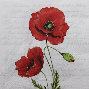 2 ou 4 unidades de guardanapos de papel para artesanato, papoula vermelha orgulhosa em fundo branco com roteiro, guardanapos de decoupage de papoula, guardanapos de verão, guardanapos de script