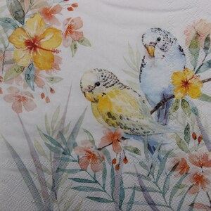 Tovaglioli di carta da 2 o 4 pezzi per decoupage, coppia di pappagallini blu e gialli con foglie e fiori tropicali su sfondo bianco, decoupage di uccelli