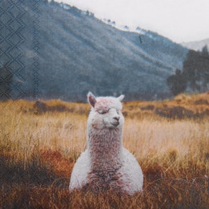 Tovaglioli di carta da 2 o 4 pezzi per decoupage, alpaca bianca in prato su sfondo di montagne, tovaglioli autunnali di lama, tovaglioli per decoupage scandinavi