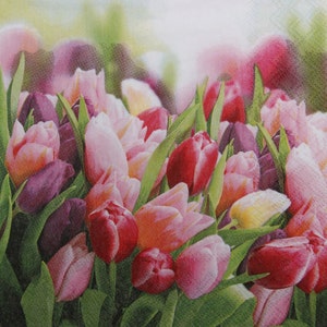 2 ou 4 serviettes en papier pour découpage, tulipes Gloriuos et fond de feuilles vertes, serviettes pour découpage fleurs printanières, fleurs Gloriuos