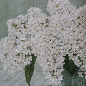 2 ou 4 serviettes en papier pour découpage, brindilles de lilas blanc sur fond vert, serviettes de table lilas, brindilles fleuries, lilas de découpage