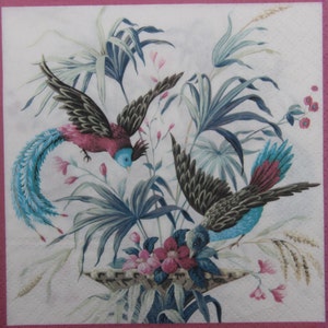 2 ou 4 serviettes en papier pour découpage, panier de fleurs et de feuilles de palmier avec oiseaux d'Eden sur fond blanc, serviettes pour découpage, journal
