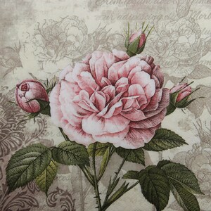 2- of 4-delige papieren servetten voor ambacht, vintage roze roos met knoppen op vintage beige schrift en ornamentpatroonachtergrond, vintage rozenservet