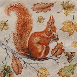 Servilletas de papel de 2 o 4 piezas para decoupage, ardilla en la rama de un árbol con bellotas, nueces y hojas de otoño alrededor, servilletas de animales del bosque