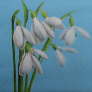 2 ou 4 serviettes en papier pour découpage, bouquet de perce-neige sur fond bleu ciel, premier souffle du printemps, serviettes pour découpage fleurs de printemps