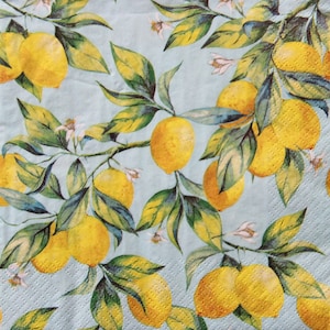 Tovaglioli di carta da 2 o 4 pezzi per artigianato, ramoscelli di limone senza soluzione di continuità su sfondo verde acqua, tovaglioli per decoupage di agrumi, tovaglioli di frutta, decoupage di frutta