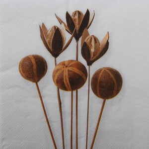 2 of 4 stuks papieren servetten voor decoupage, bruin, oranje gedroogde mandarijnen op witte achtergrond, gedroogd fruit decoupage servetten, kerstservetten