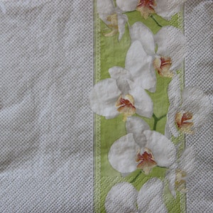 2 oder 4 Stück Papierservietten zum Basteln, weiße Orchidee Blumen auf Green Lane und Silber Tupfen Hintergrund, Phalaeonopsis Decoupage Servietten