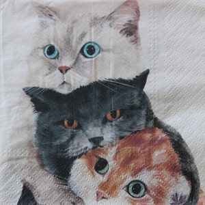 2 o 4 tovaglioli di carta per decoupage, tre simpatici gatti in squadra su sfondo bianco, tovaglioli per decoupage con gatti, tovaglioli con gattini, tovaglioli con animali domestici