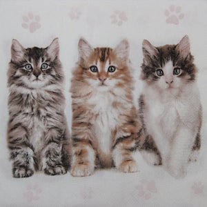 2 oder 4 Stück Papierservietten Für Decoupage, Drei flauschige Kätzchen auf weißem Hintergrund mit rosa Fußabdrücken, Katzen Decoupage Servietten, Kätzchen Servietten