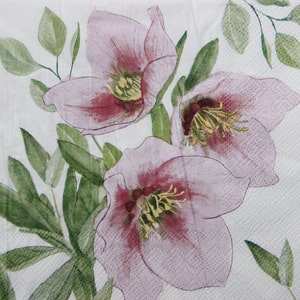 2 o 4 pezzi di tovaglioli di carta per decoupage, fiori di elleboro rosa classici, su sfondo bianco, tovaglioli per decoupage con fiori invernali, elleboro