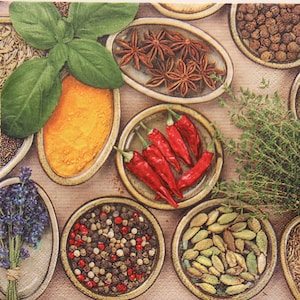Set of Spices and herbs for cooking. Small bowls with colorful