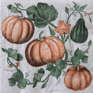 2 o 4 servilletas de papel para manualidades, servilletas de decoupage otoñal, calabazas y flores naranjas y verdes sobre fondo blanco, servilletas de otoño