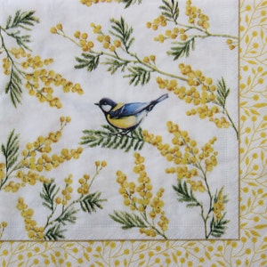 2 o 4 pezzi di tovaglioli di carta per decoupage, cinciallegra su rami di mimosa in fiore su sfondo bianco, tovaglioli per decoupage con uccelli cinciallegra, tovaglioli con uccelli