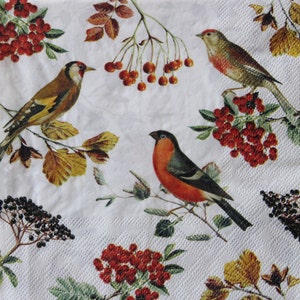 2 o 4 servilletas de papel para decoupage, collage de pájaros, ramas de serbal y saúco sobre fondo blanco, servilletas para decoupage con pájaros otoñales