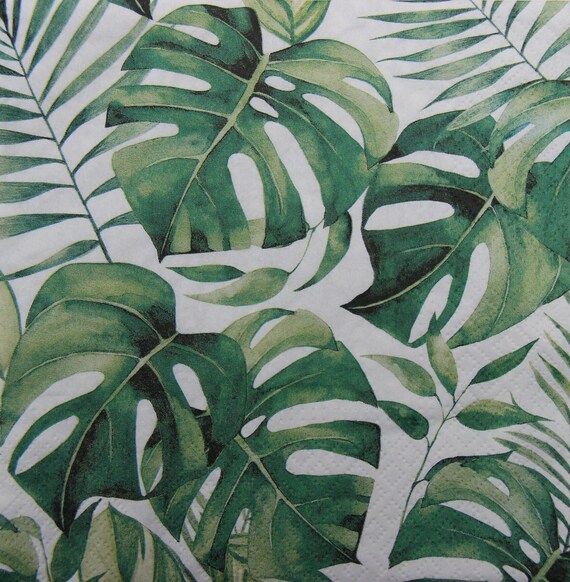 Grne Monstera Papierservietten, Tropische Decoupage Servietten (2 oder 4  Stck) - Etsy.de