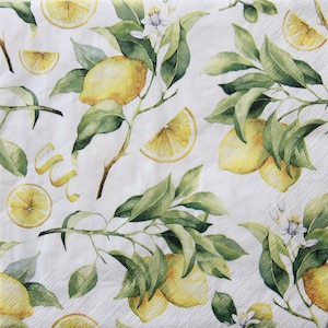 Tovaglioli da 2 o 4 pezzi per decoupage, rametti di limone senza cuciture con fiori su sfondo bianco, tovaglioli per decoupage di agrumi, tovaglioli per decoupage di frutta